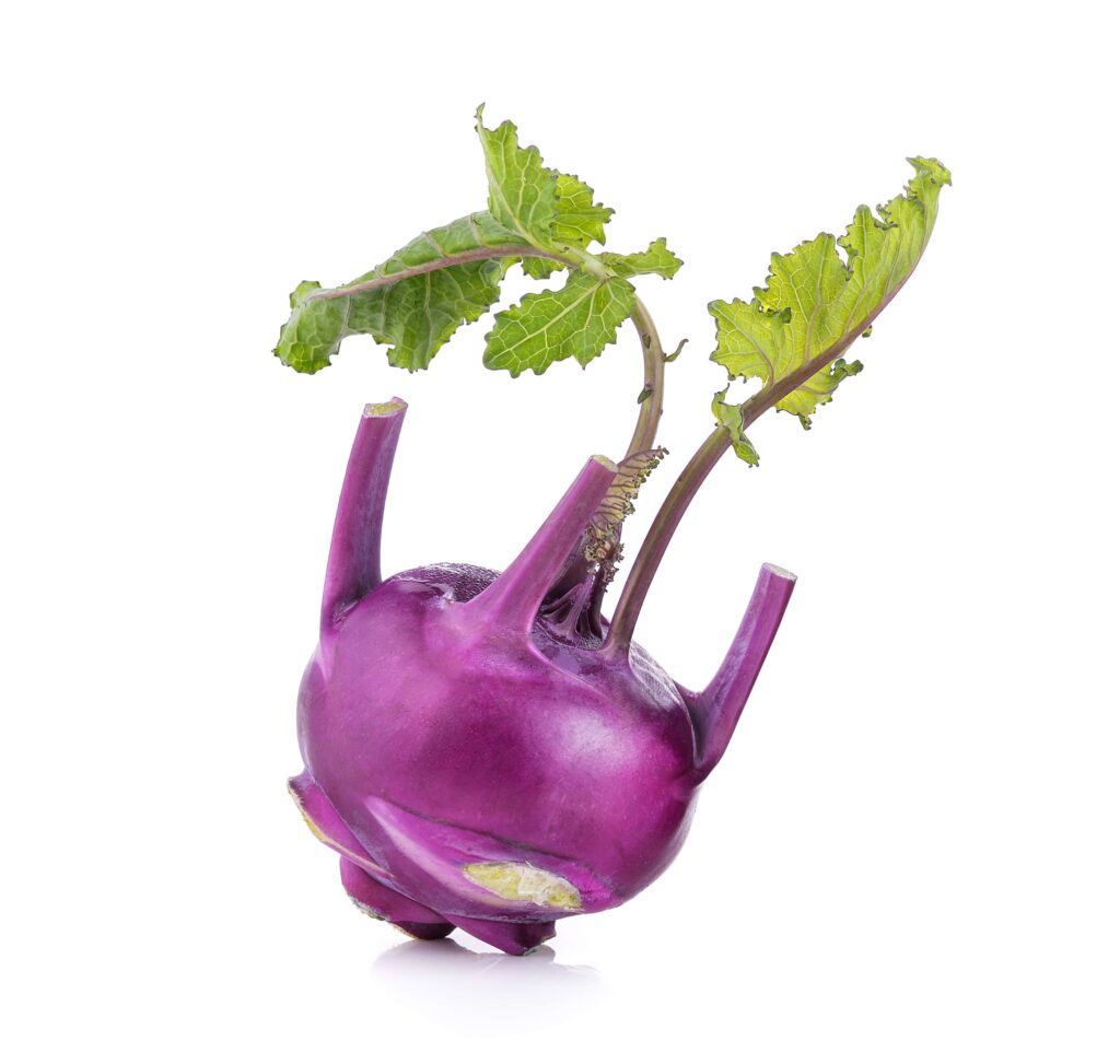 purple-kohlrabi